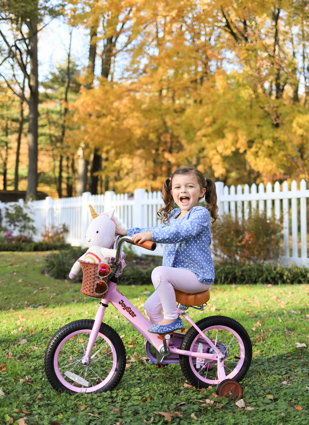 Big hit with granddaughter - JOYSTARBIKE