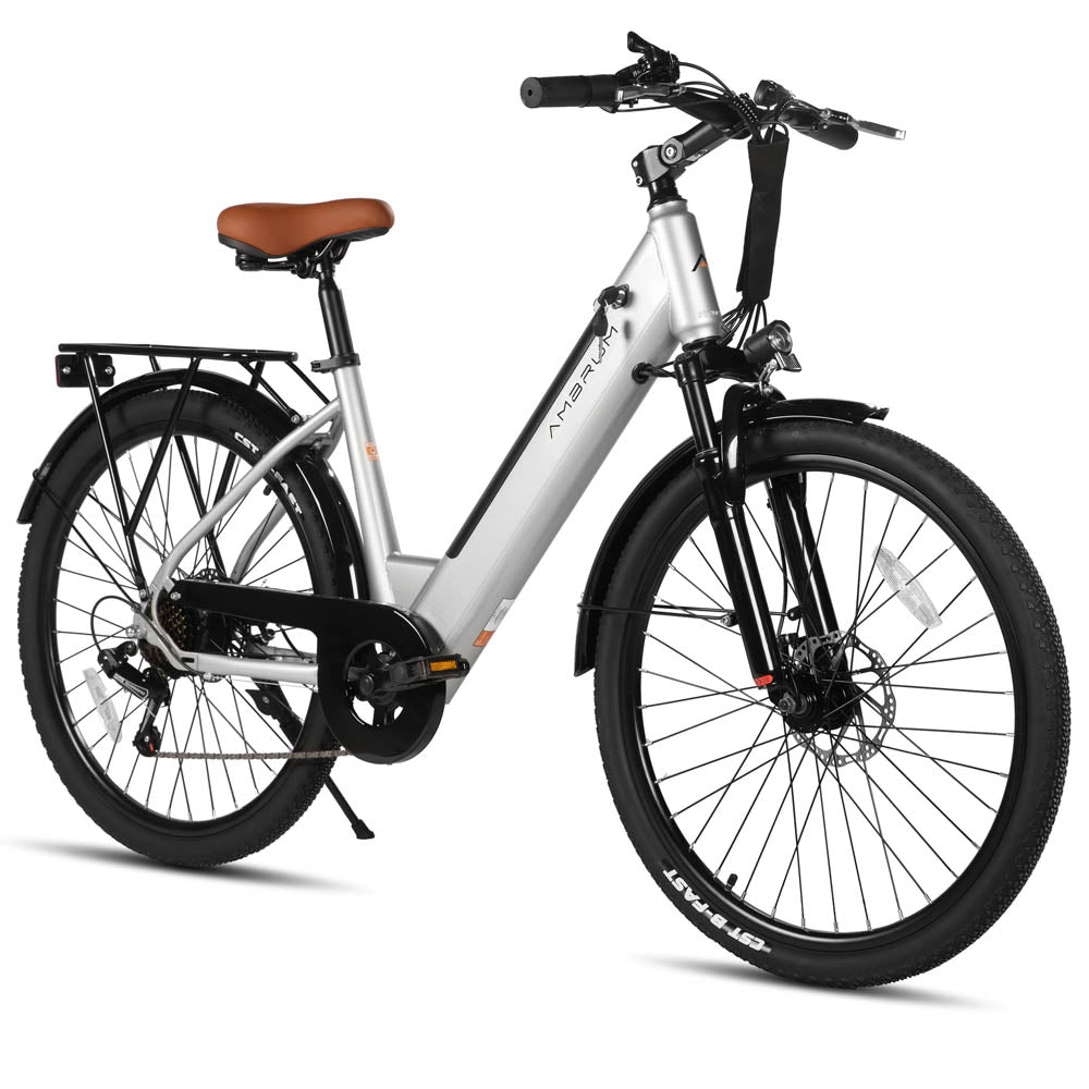 JOYSTAR 26 Inch Electric Bike for Adults & Teenagers JOYSTAR