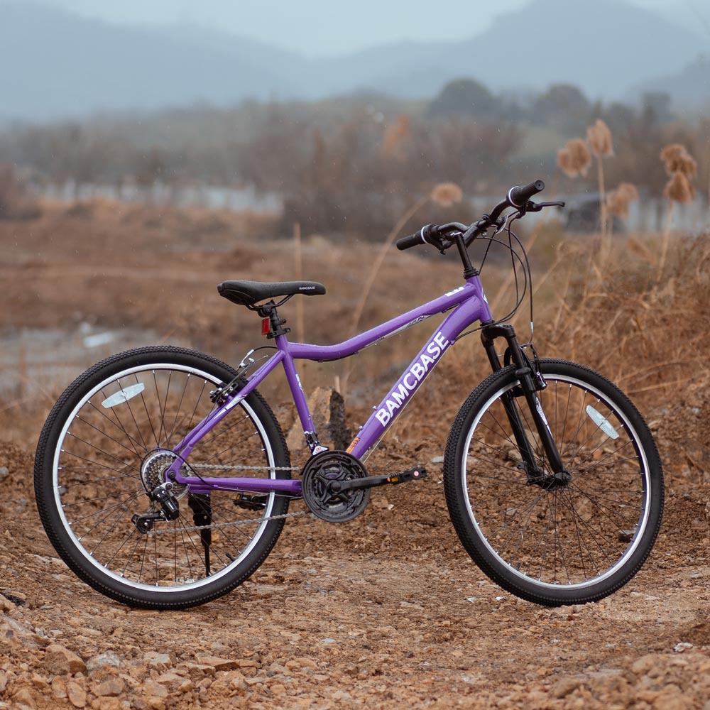 HILAND Lilac 26 Inch Womens Mens Mountain Bike 21 Speed with Suspension Fork