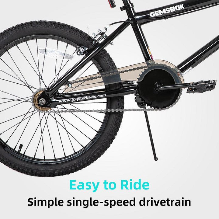 JOYSTAR Gemsbok 20'' Kids BMX Bike - JOYSTARBIKE