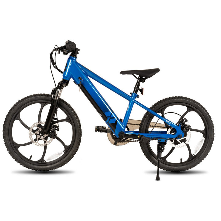 JOYSTAR 20 Inch Electric Bike for Kids & Teenagers WT