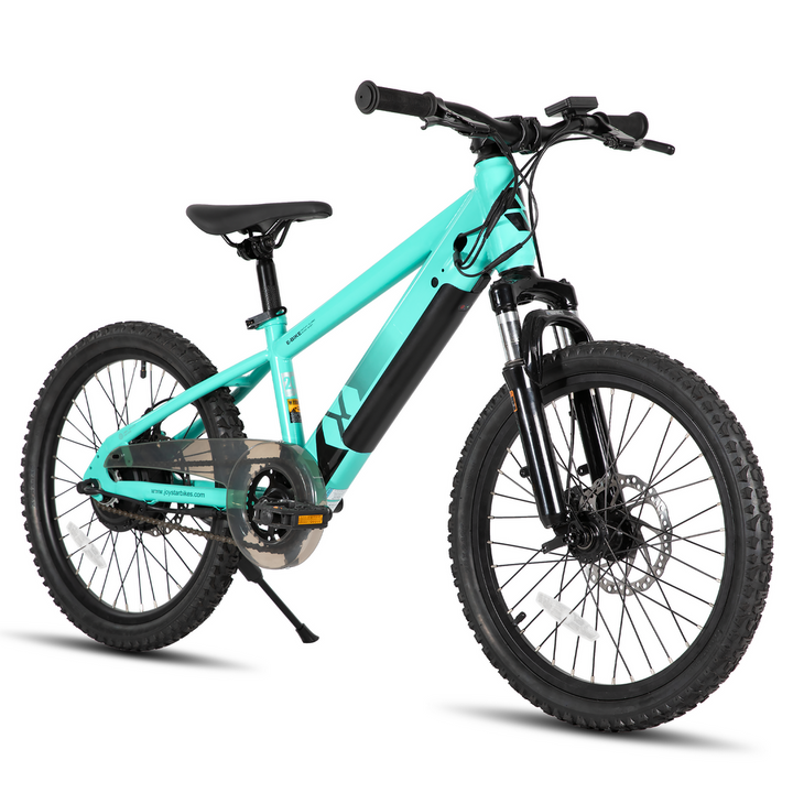 JOYSTAR 20 Inch Electric Bike for Kids & Teenagers WT