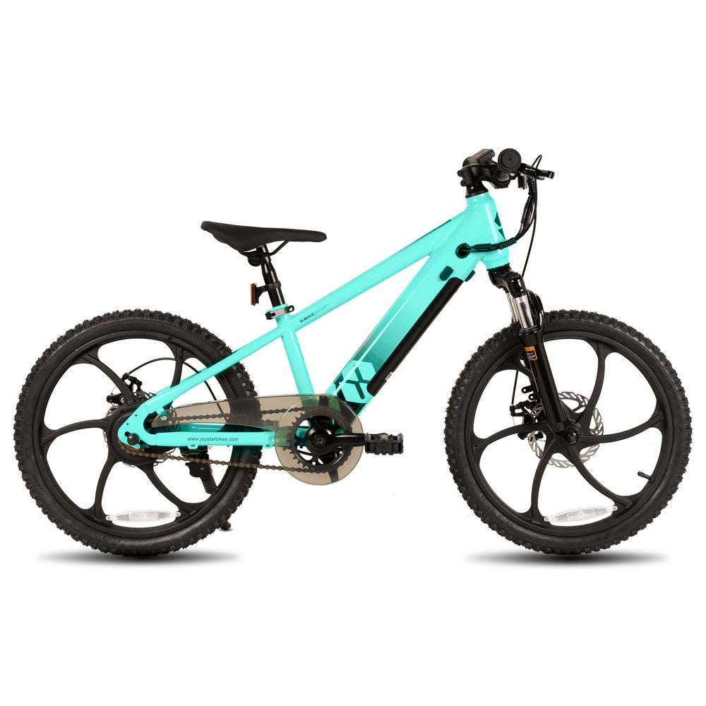 JOYSTAR 20 Inch Electric Bike for Kids & Teenagers WT