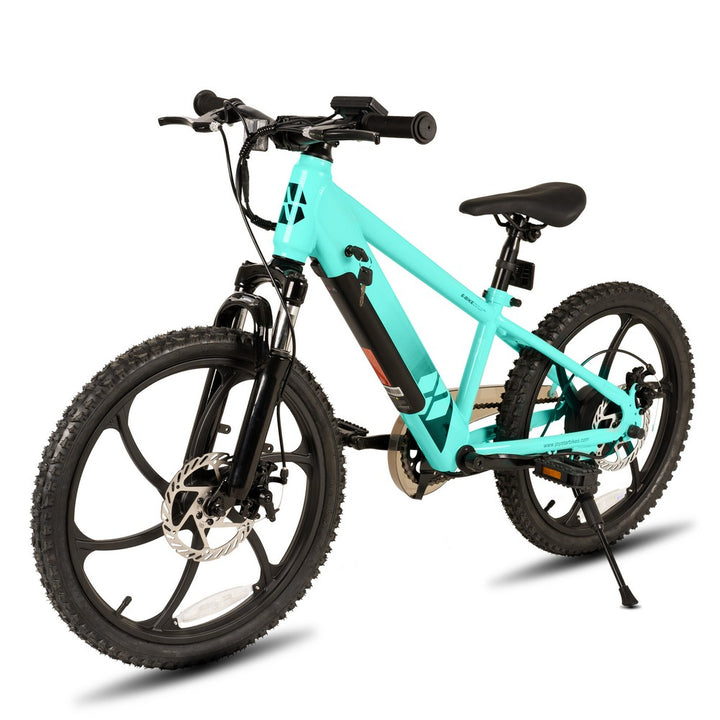 JOYSTAR 20 Inch Electric Bike for Kids & Teenagers WT