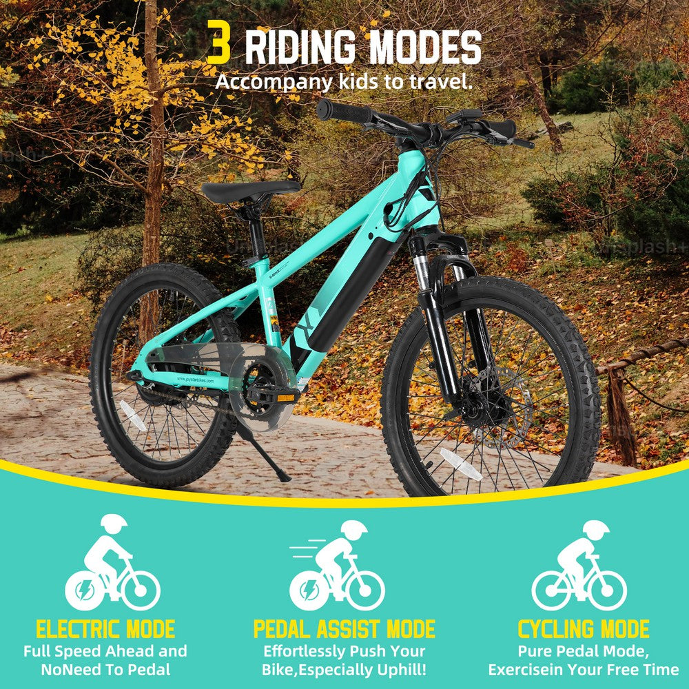 JOYSTAR 20 Inch Electric Bike for Teenagers (Presale)