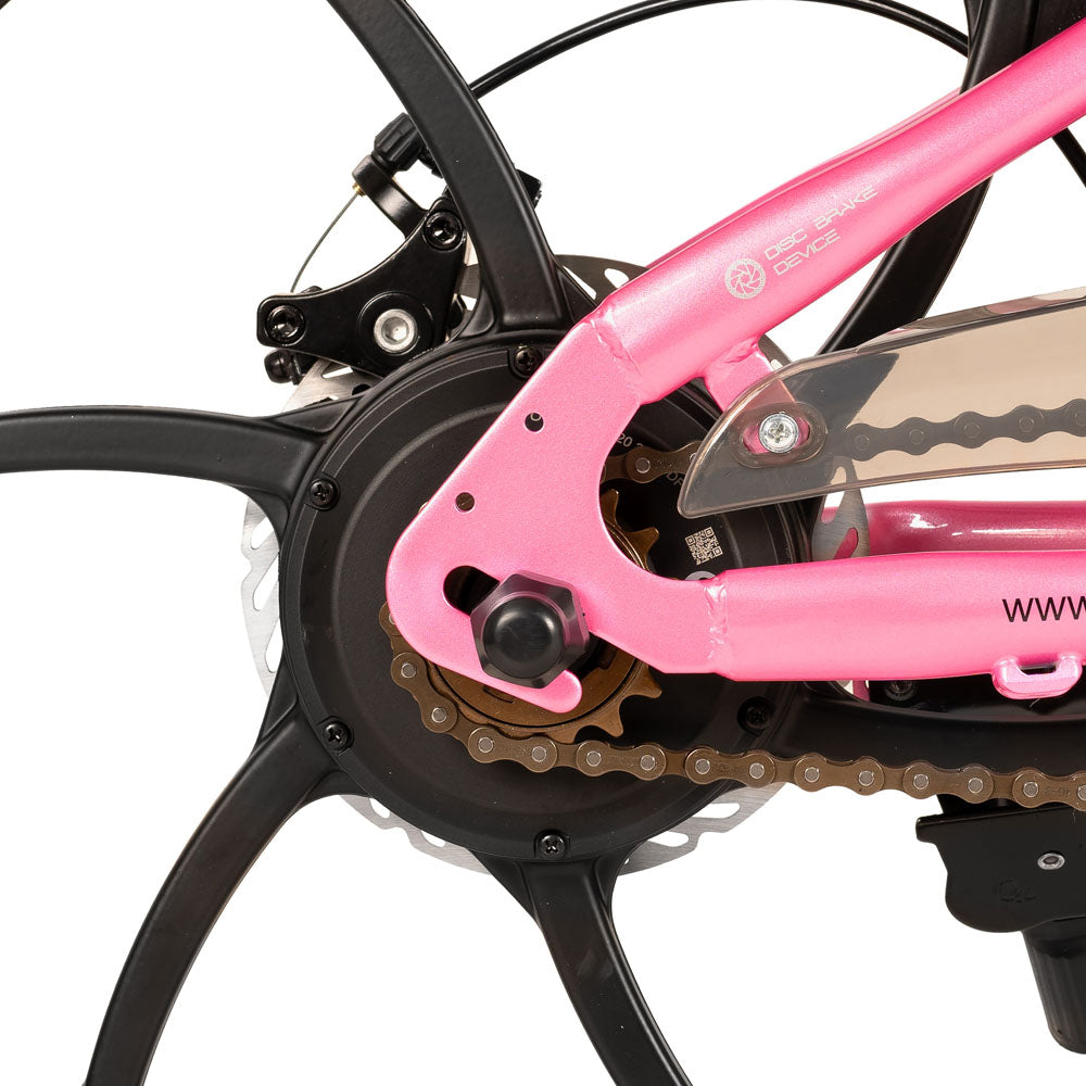 JOYSTAR 20 24 Inch Electric Bike for Kids & Teenagers EU JOYSTAR BIKE EU