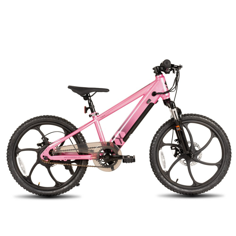 JOYSTAR 20 Inch Electric Bike for Kids & Teenagers WT