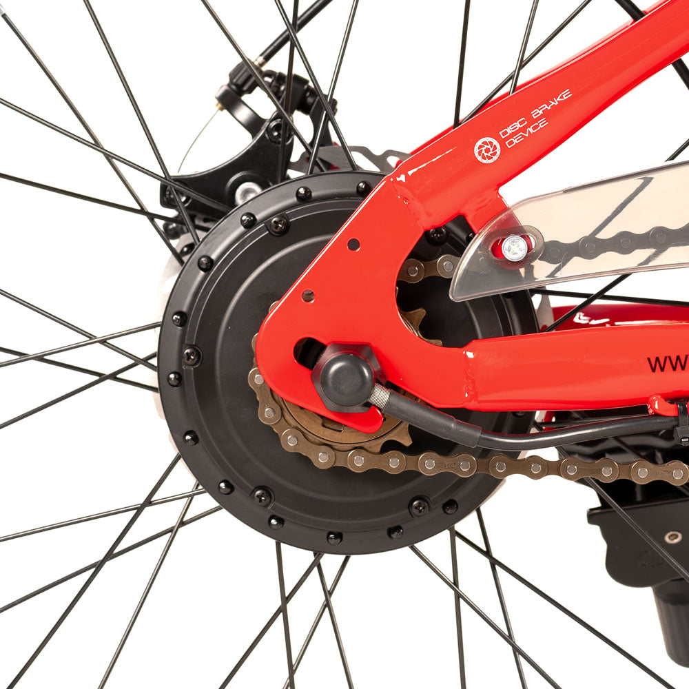 JOYSTAR 20 24 Inch Electric Bike for Kids & Teenagers EU JOYSTAR BIKE EU