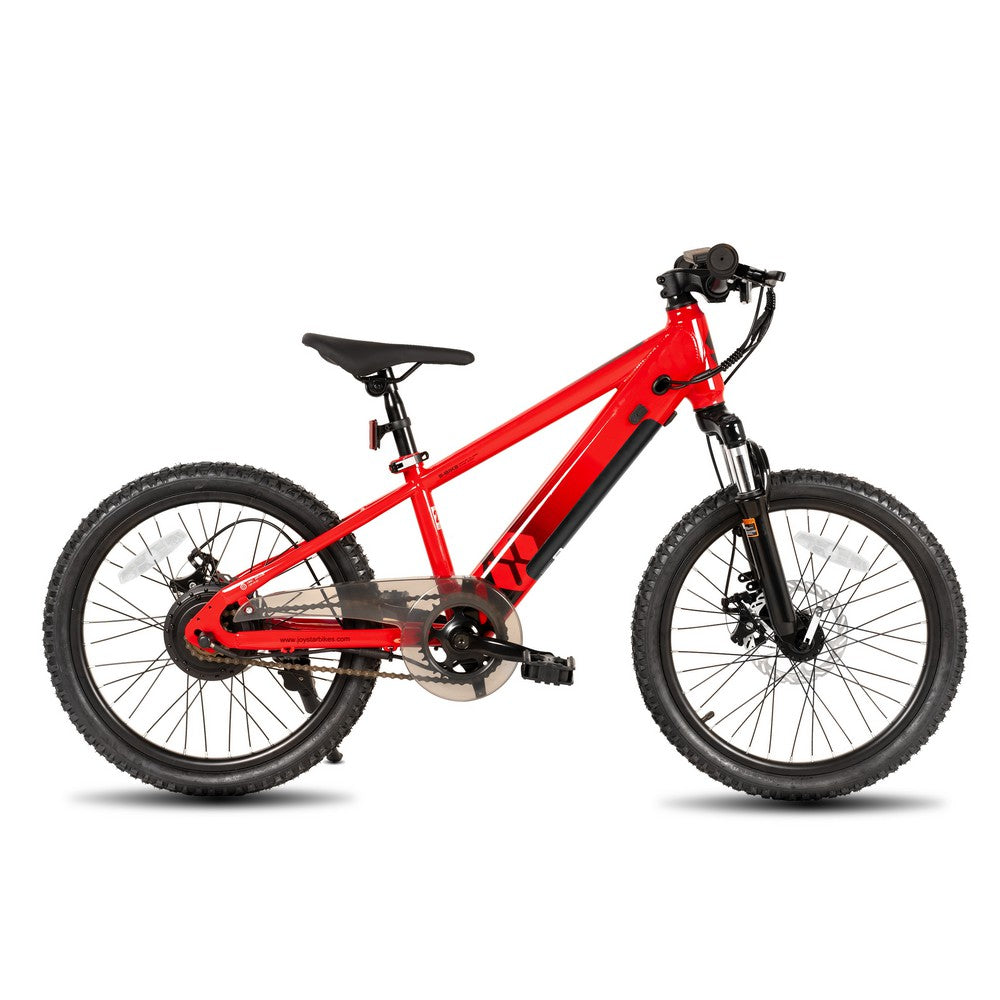 JOYSTAR 20 Inch Electric Bike for Teenagers (Presale)