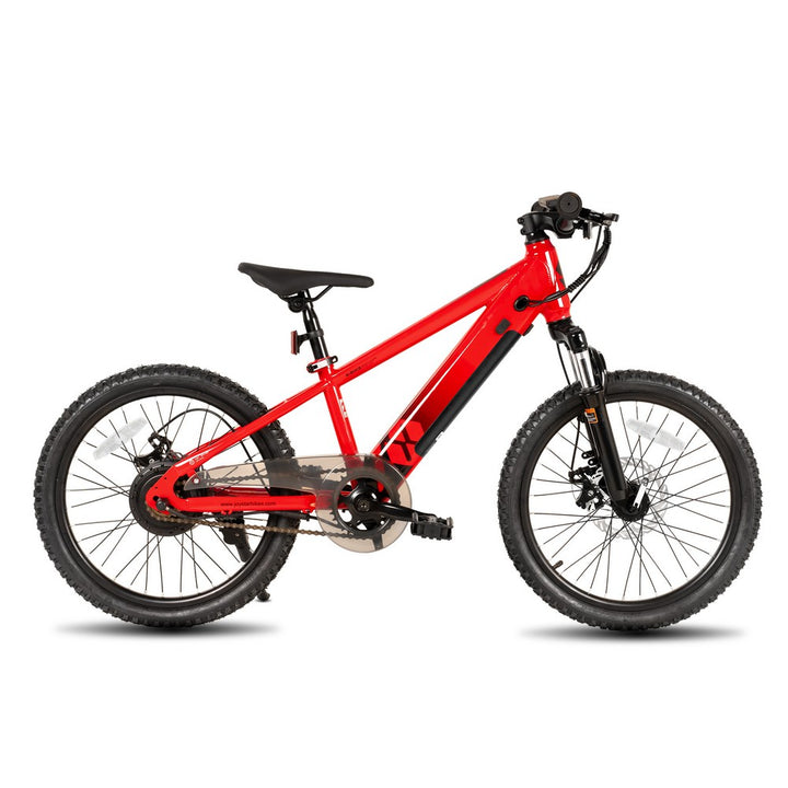 JOYSTAR 20 Inch Electric Bike for Kids & Teenagers WT