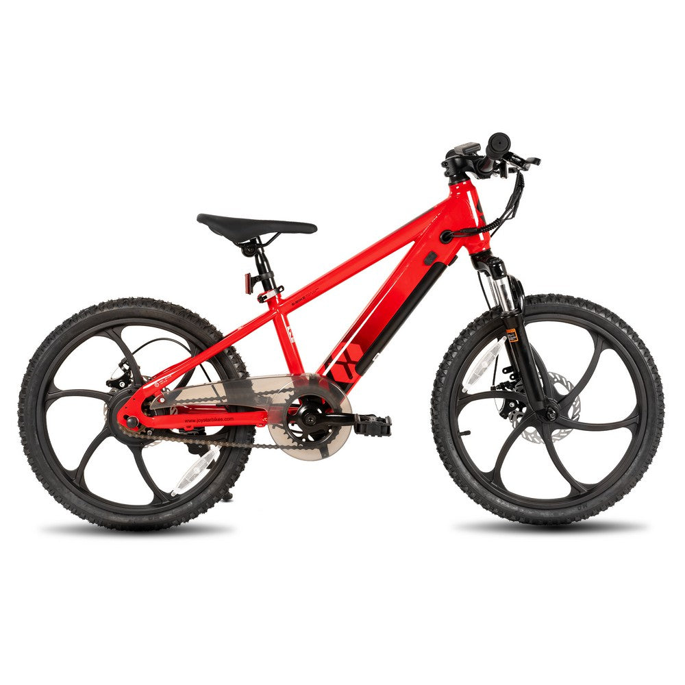 JOYSTAR 20 Inch Electric Bike for Kids & Teenagers WT