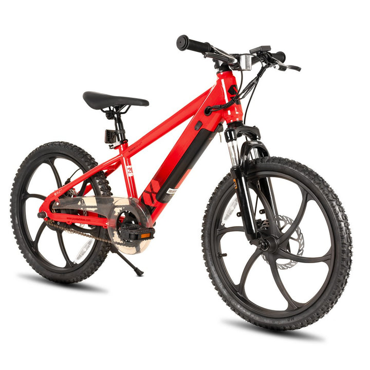 JOYSTAR 20 Inch Electric Bike for Kids & Teenagers WT