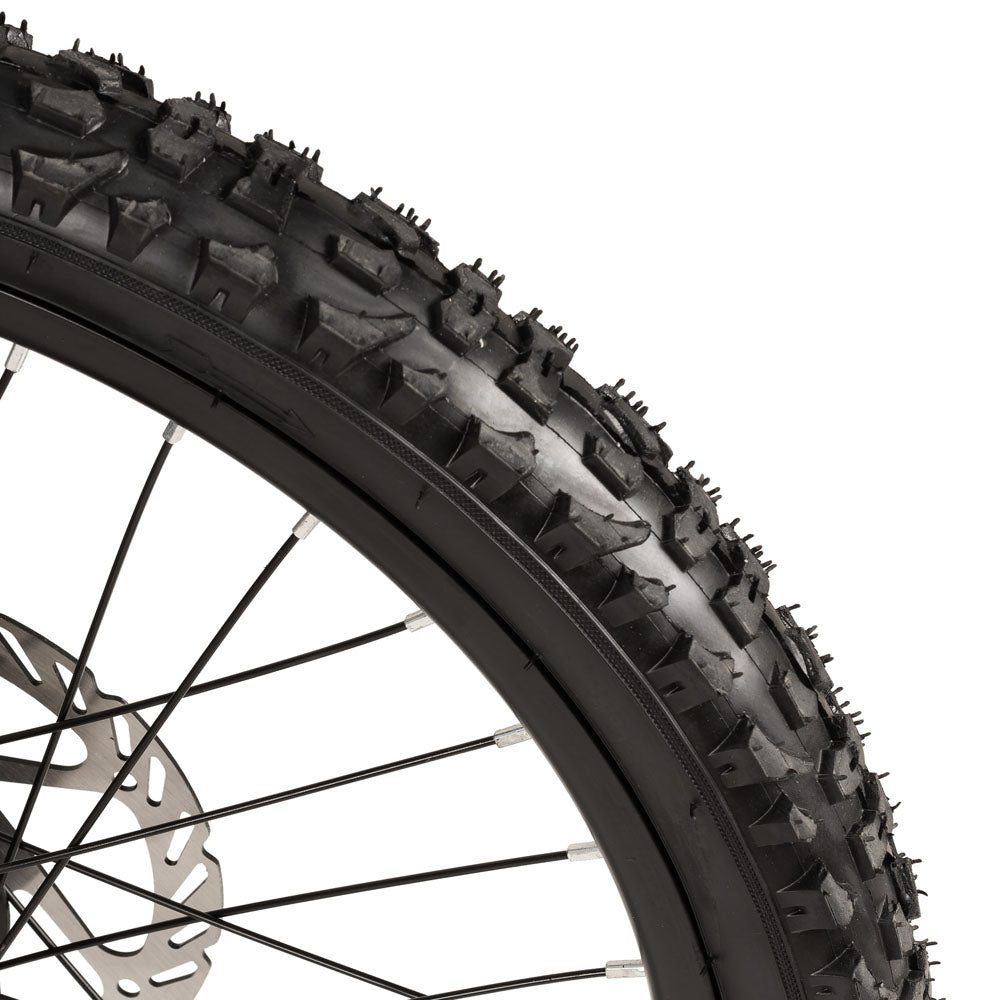 JOYSTAR 20 24 Inch Electric Bike for Kids & Teenagers EU JOYSTAR BIKE EU