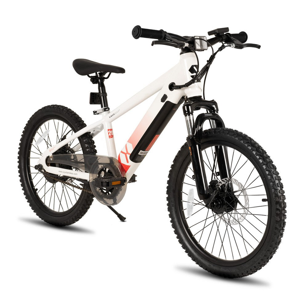 JOYSTAR 20 Inch Electric Bike for Kids & Teenagers WT