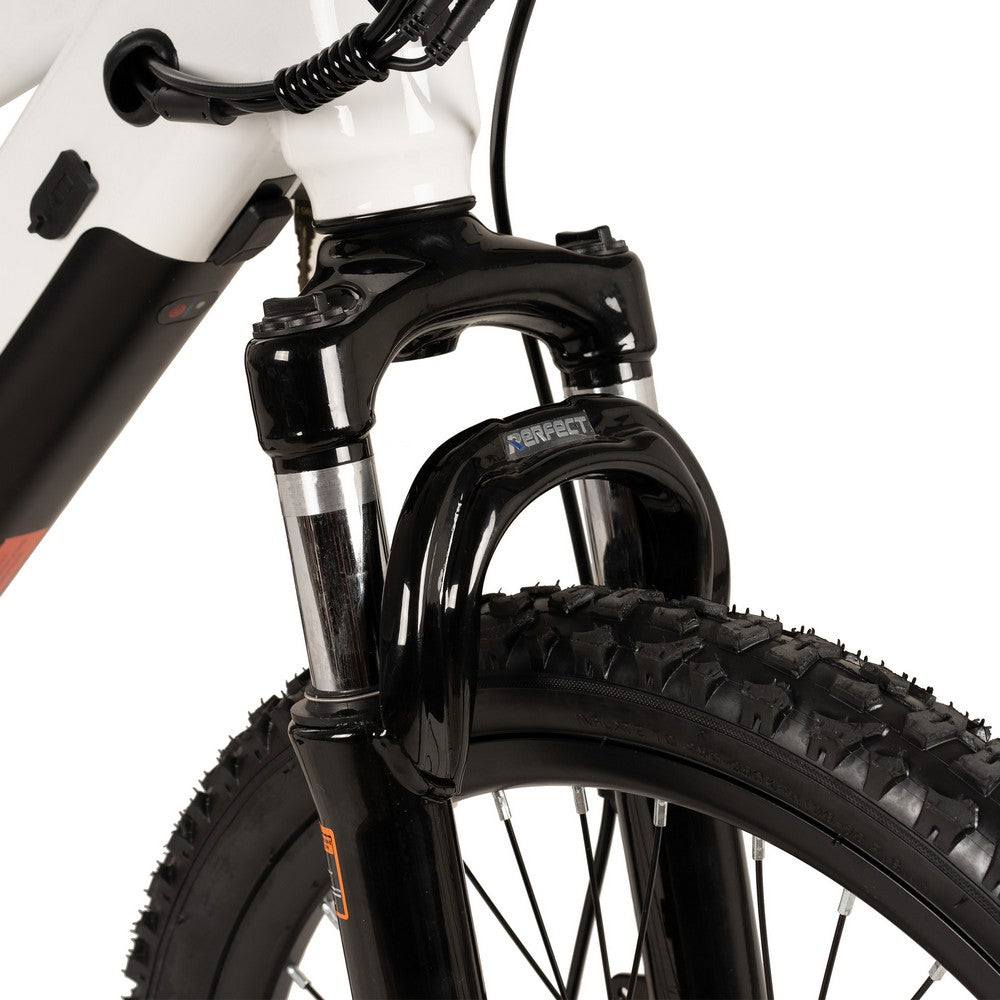 JOYSTAR 20 Inch Electric Bike for Teenagers (Presale)