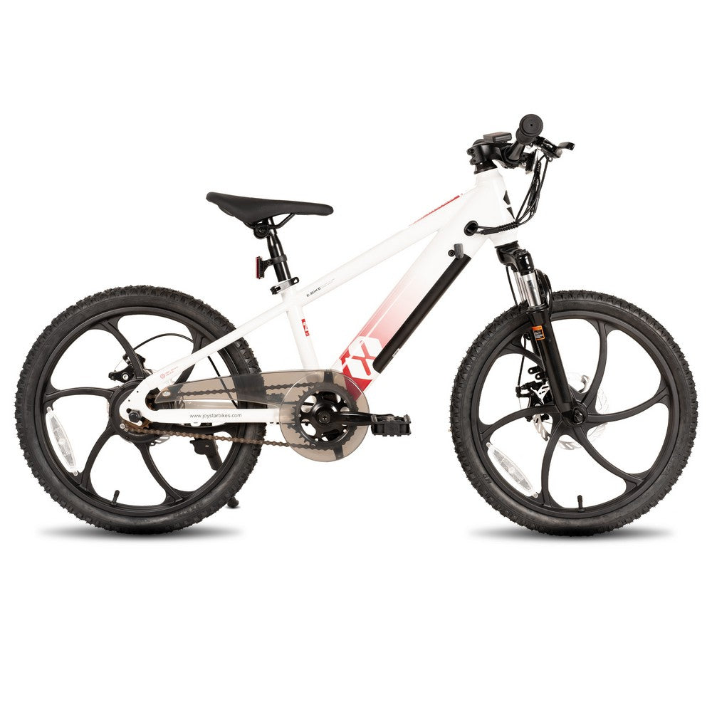 JOYSTAR 20 Inch Electric Bike for Kids & Teenagers WT