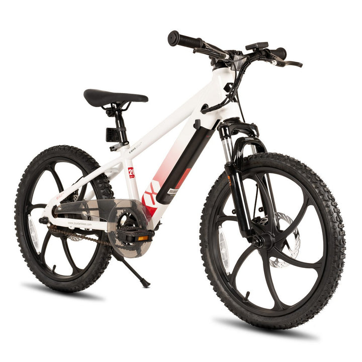 JOYSTAR 20 Inch Electric Bike for Kids & Teenagers WT