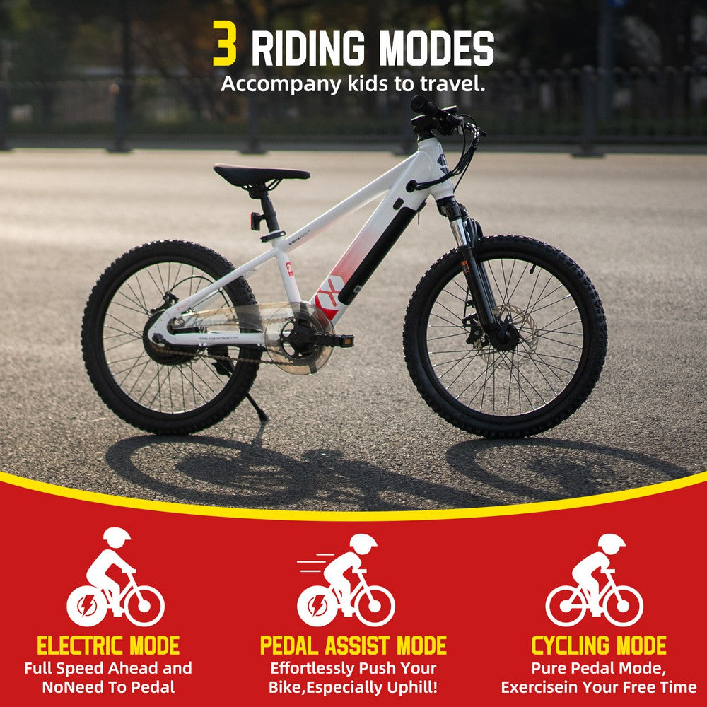 JOYSTAR 20 Inch Electric Bike for Kids & Teenagers WT