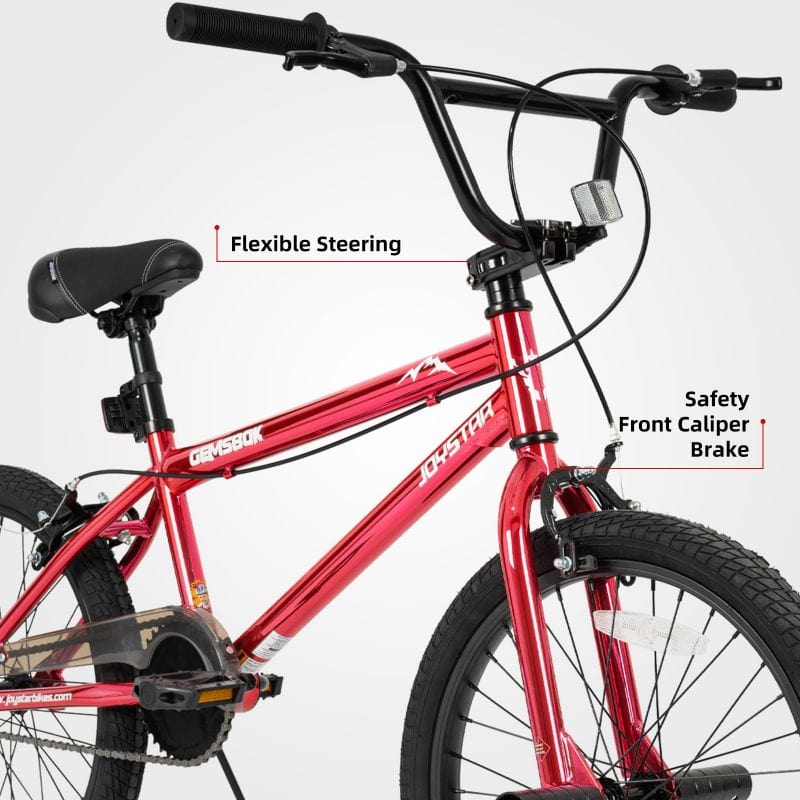 JOYSTAR Gemsbok 20'' Kids BMX Bike CA - JOYSTARBIKE