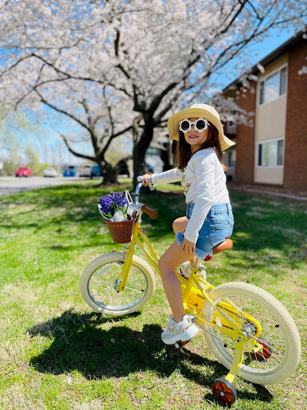 JOYSTAR Fantasy Girls Bike for 3-13 Years Girls EU JOYSTAR BIKE EU