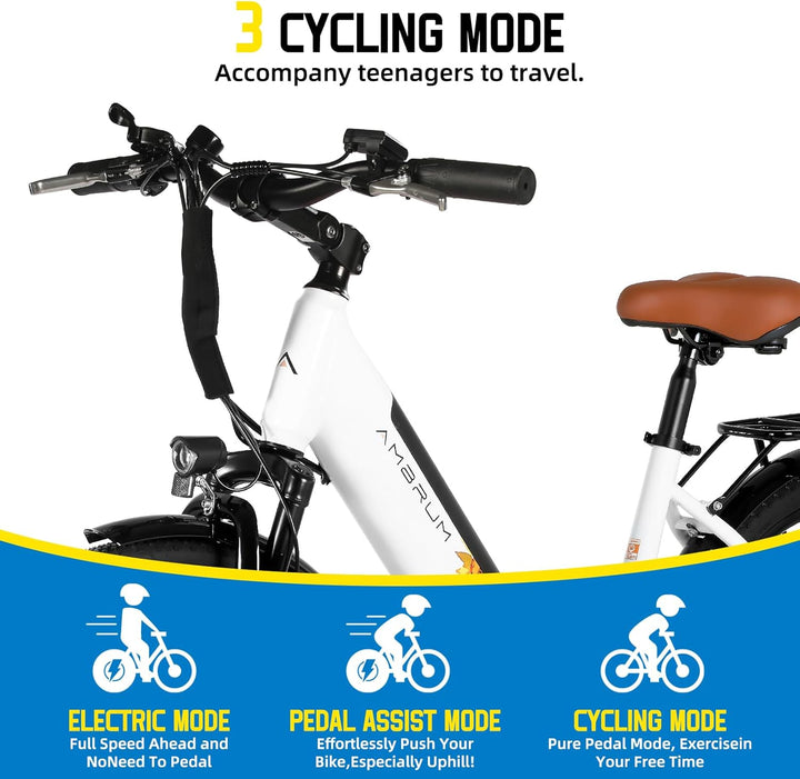 JOYSTAR 26 Inch Electric Bike for Adults & Teenagers JOYSTAR