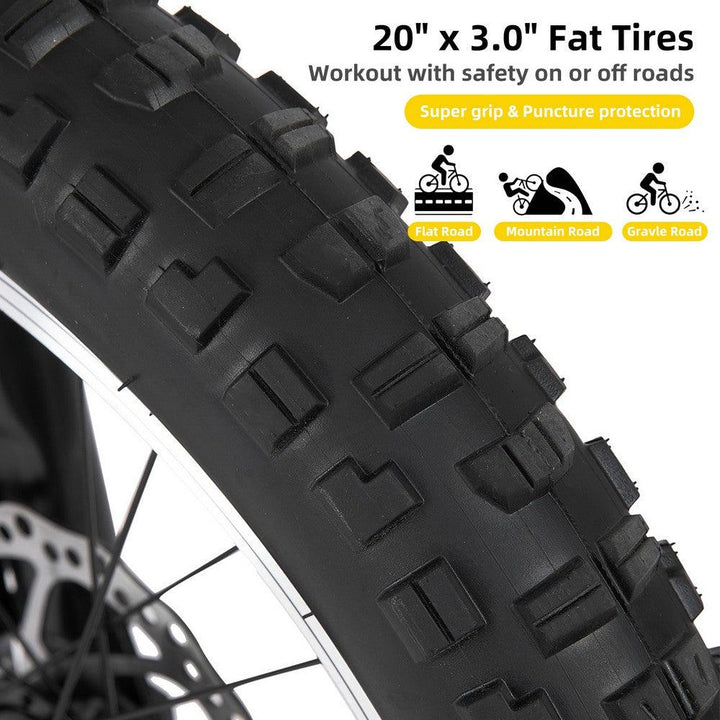 JOYSTAR 20" Fat Tire Kids Mountain Bike - JOYSTARBIKE