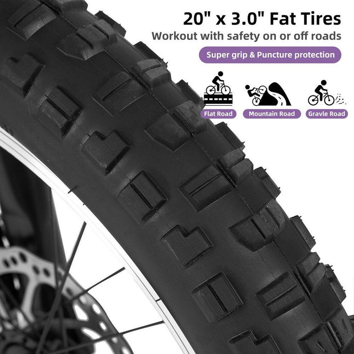 JOYSTAR 20" Fat Tire Kids Mountain Bike - JOYSTARBIKE