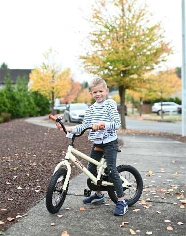 JOYSTAR Totem Kids Bike for 2-9 Year boys & girls - JOYSTAR BIKE