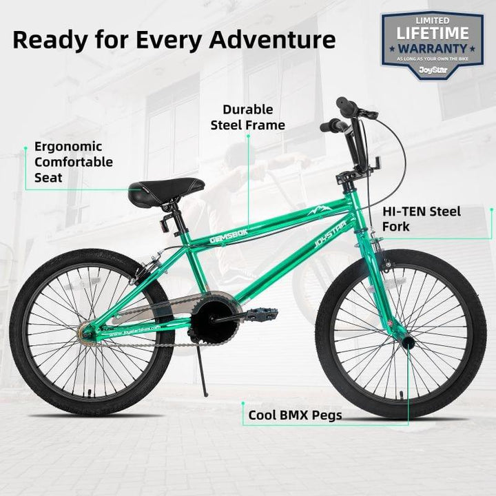 JOYSTAR Gemsbok 20'' Kids BMX Bike - JOYSTARBIKE