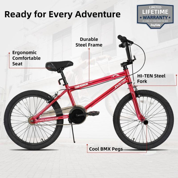 JOYSTAR Gemsbok 20'' Kids BMX Bike - JOYSTARBIKE
