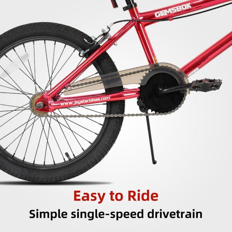 JOYSTAR Gemsbok 20'' Kids BMX Bike - JOYSTARBIKE
