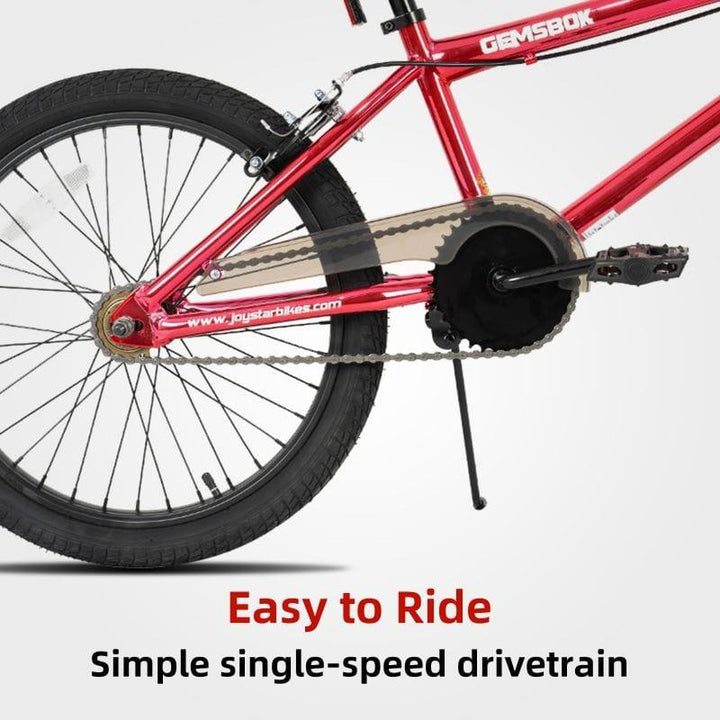 JOYSTAR Gemsbok 20'' Kids BMX Bike - JOYSTARBIKE