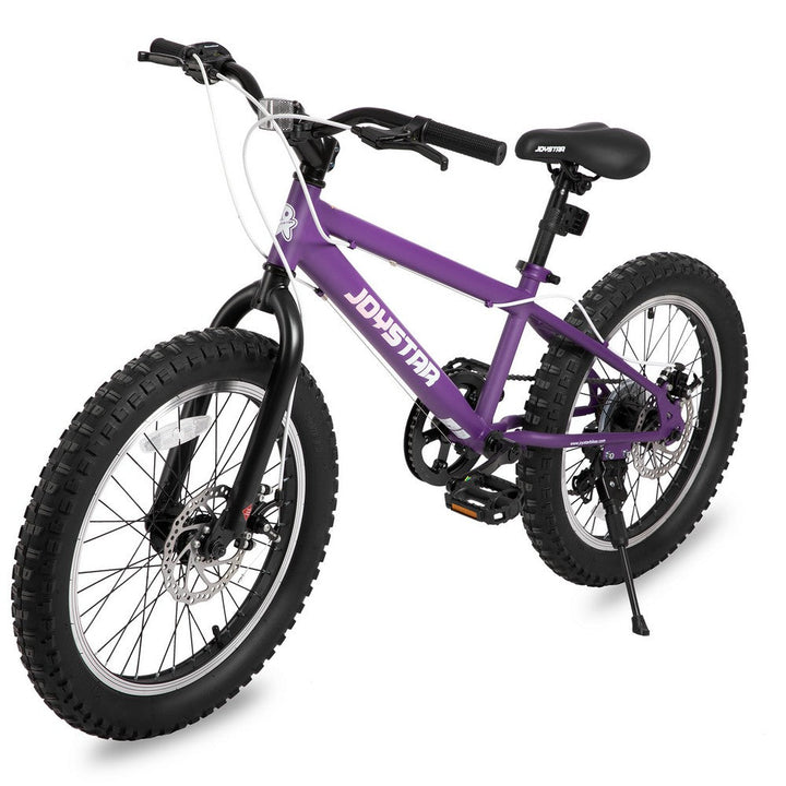 JOYSTAR 20" Fat Tire Kids Mountain Bike JOYSTAR